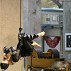 Compagnia di Danza Vertiges